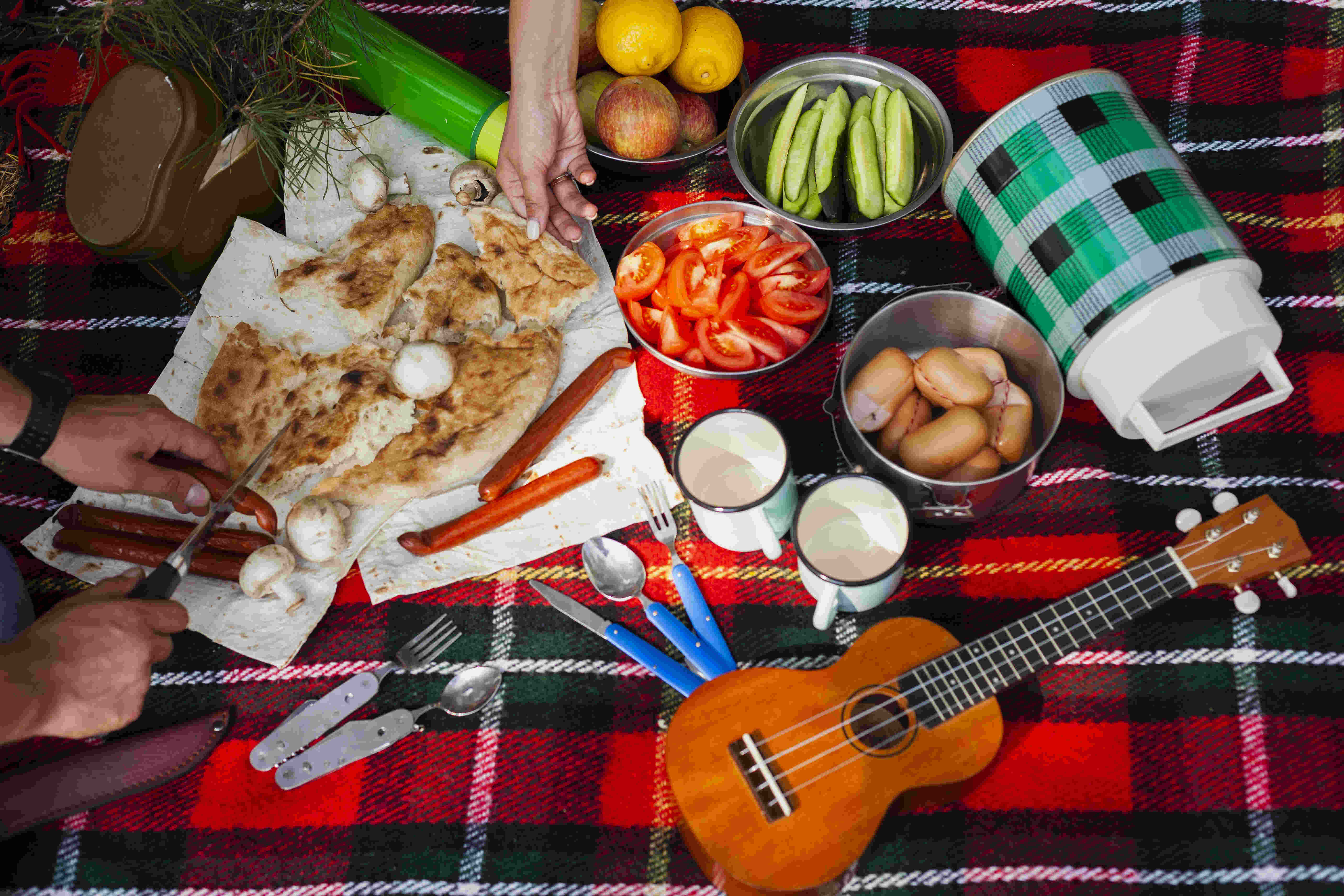 high-angle-meal-time-picnic (1)